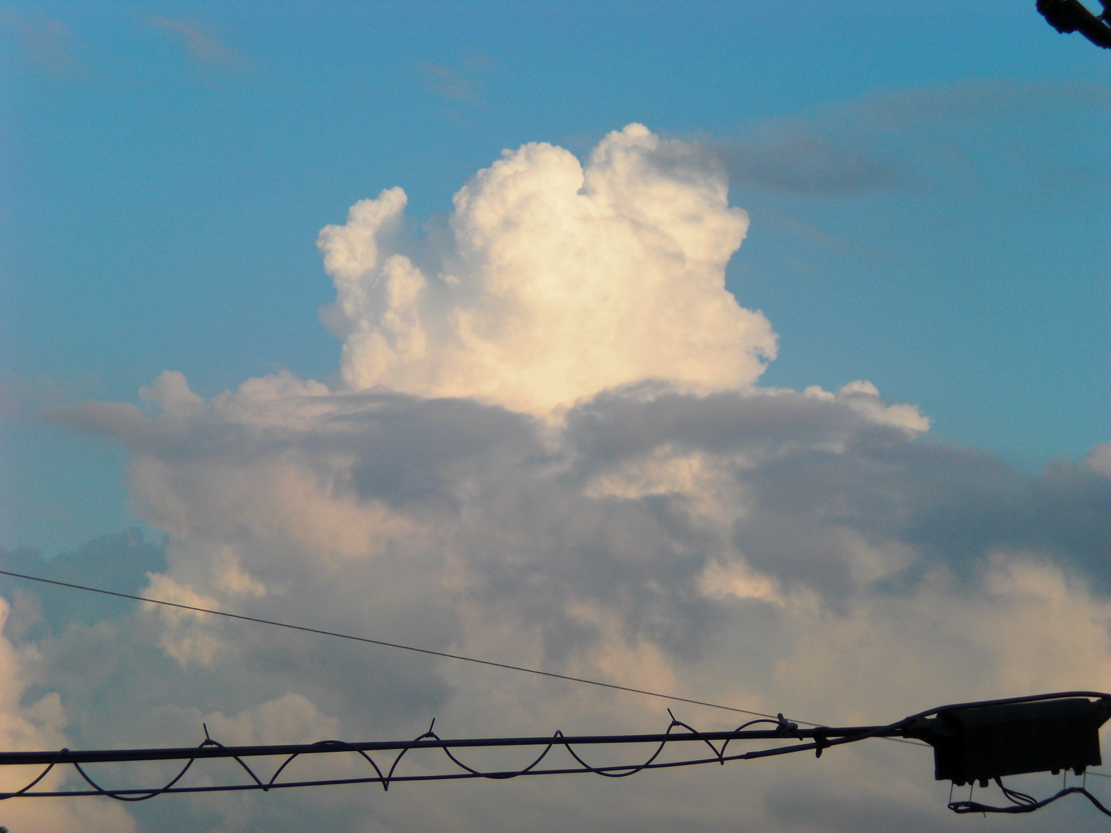 f0112080_00082.jpg