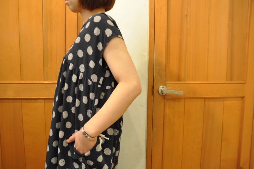 今年も この季節が やってきました ,,, =dahl\'ia=_b0110582_19181246.jpg