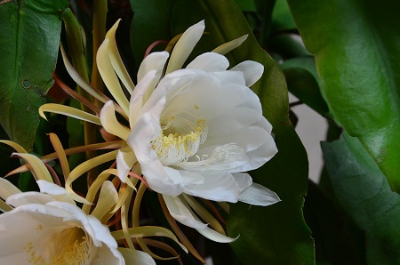 c0229483_201049.jpg