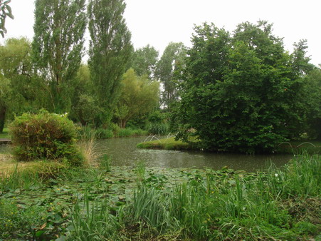 a0247585_46946.jpg