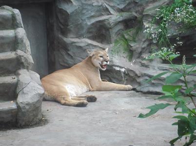 e0239190_1724179.jpg
