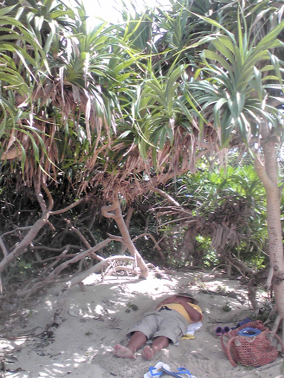e0220493_21523984.jpg