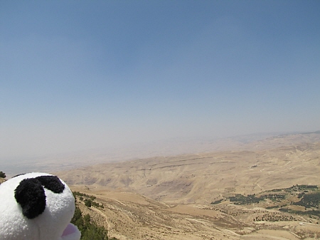 f0033598_19551128.jpg