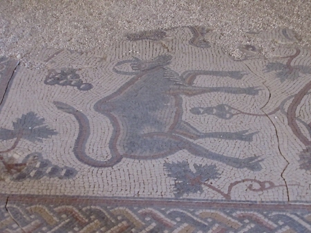 f0033598_19564593.jpg