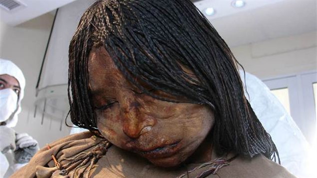 500年前のミイラの検死 Jの学習