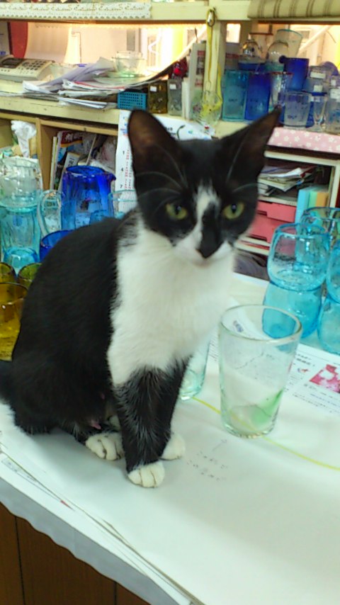 e0069433_2625.jpg