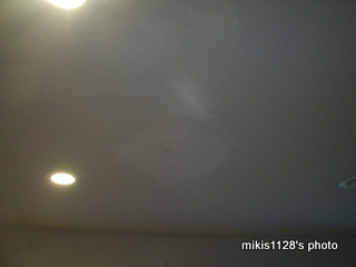 f0045736_641522.jpg