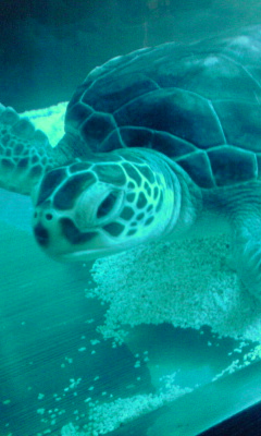 f0237452_84184.jpg