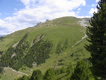 a0044453_2241454.gif