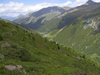 a0044453_2251340.gif