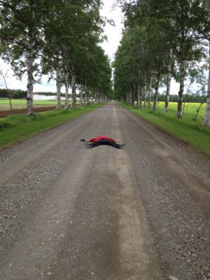 日本一周 27日目_d0260955_17281989.jpg