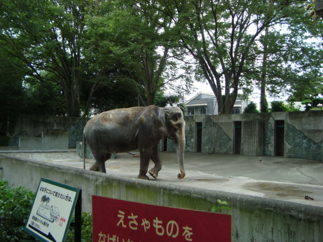 吉祥寺・井の頭動物園に行く。_f0232060_211366.jpg