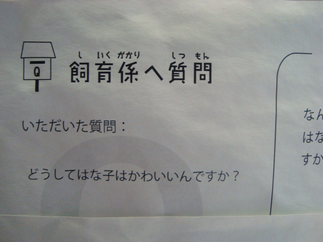吉祥寺・井の頭動物園に行く。_f0232060_2411351.jpg