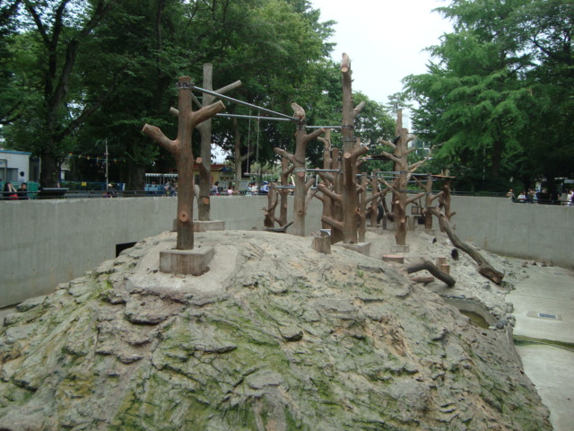 吉祥寺・井の頭動物園に行く。_f0232060_2512792.jpg
