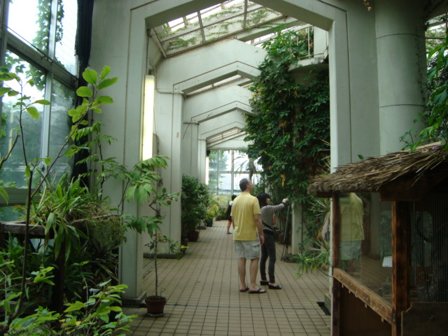 吉祥寺・井の頭動物園に行く。_f0232060_2593225.jpg
