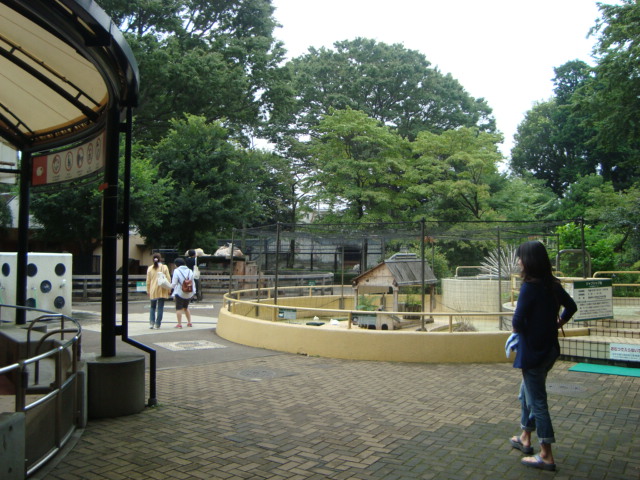 吉祥寺・井の頭動物園に行く。_f0232060_262422.jpg