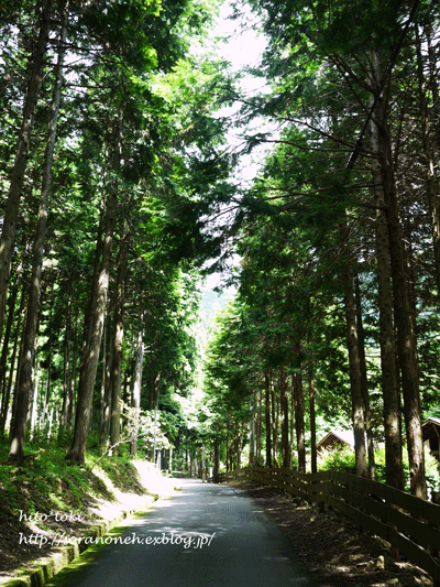 a0271067_291664.gif
