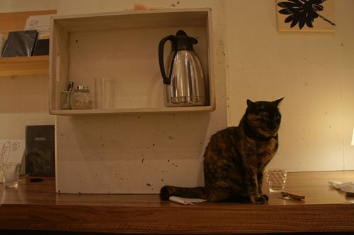 ネコカフェ「Keurig」再び_b0083267_22413918.jpg