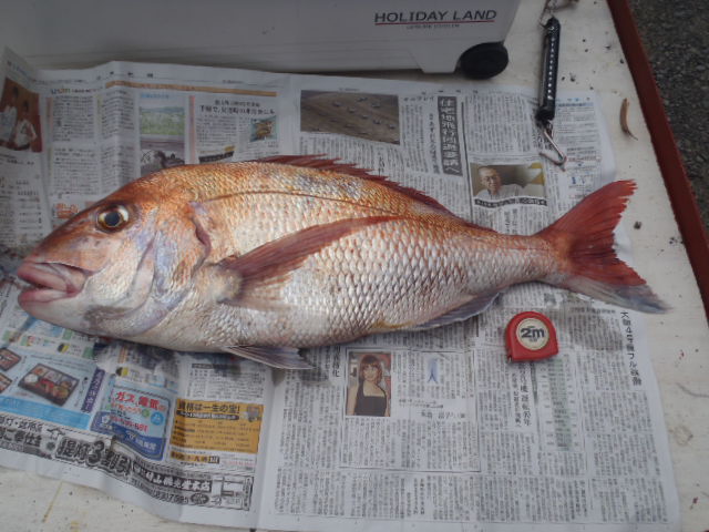 27日の釣果_a0077071_1535137.jpg