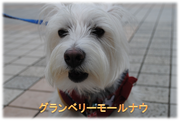 b0242873_0224641.png