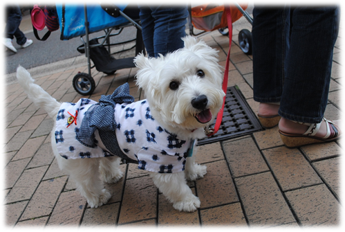 b0242873_024366.png