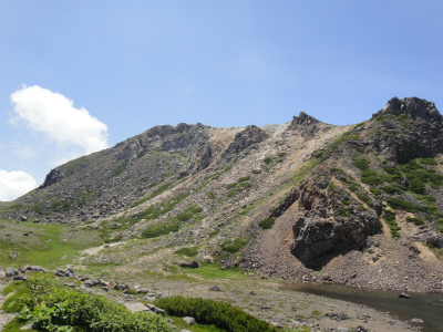 花の白山（2,702ｍ　石川県白峰村）_d0182075_9485573.jpg