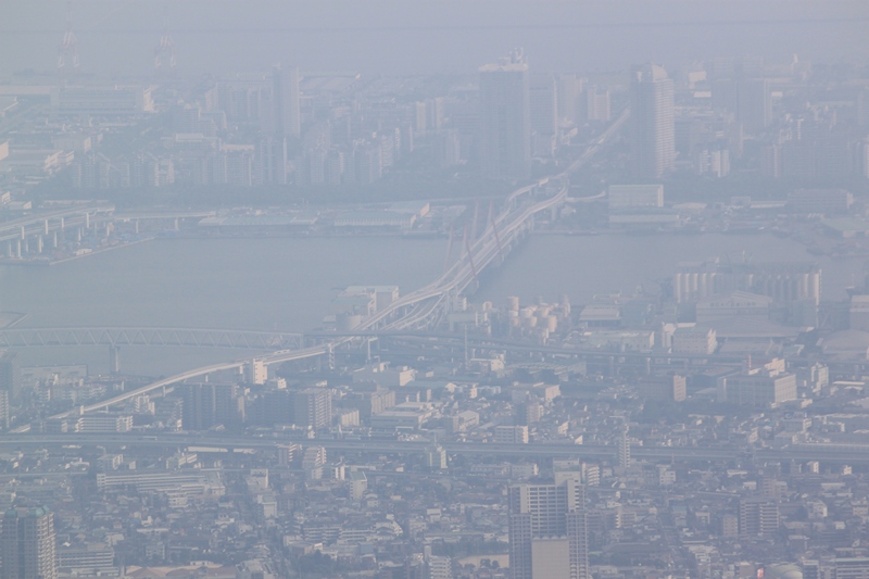 f0136675_2321327.jpg