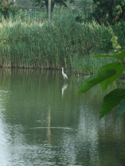 e0112077_1412139.jpg