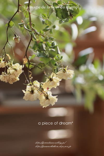 野の花の魔法* (すごく長いです・・)_b0160880_11294592.jpg