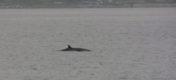 北海道　その4_d0020180_1705140.jpg