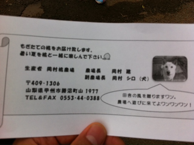 7月29日 美味しい桃探しに…_d0171384_1514917.jpg