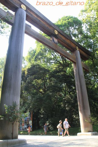 c0212987_2123894.jpg