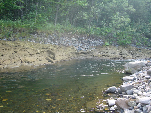 a0118989_20323276.jpg