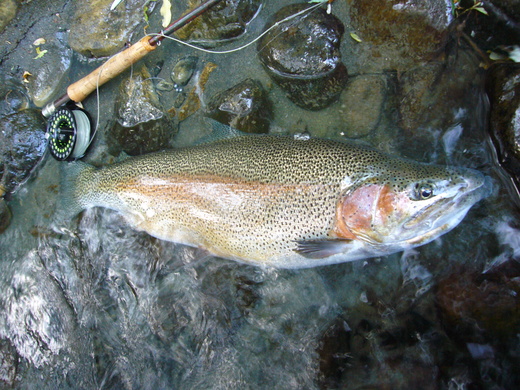 a0118989_20341248.jpg