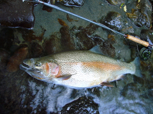 a0118989_20432329.jpg