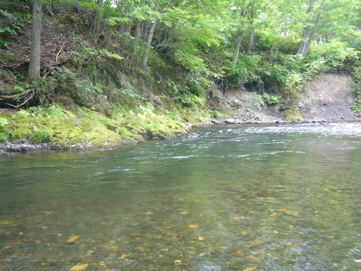 a0118989_20561458.jpg
