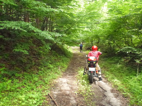 2012年 日帰り林道ツーリング_b0238789_1350793.jpg