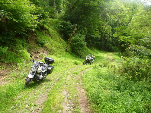 2012年 日帰り林道ツーリング_b0238789_13543185.jpg