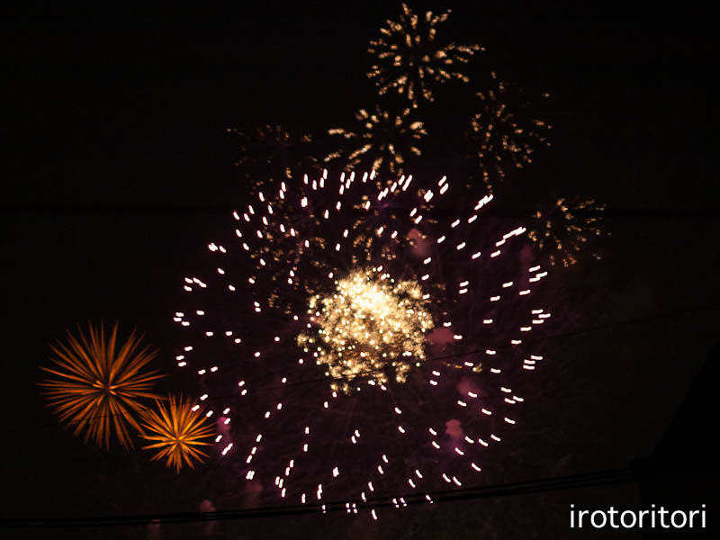 花火大会　　　（シジュウカラ幼鳥）　　2012/07/28_d0146592_0475527.jpg