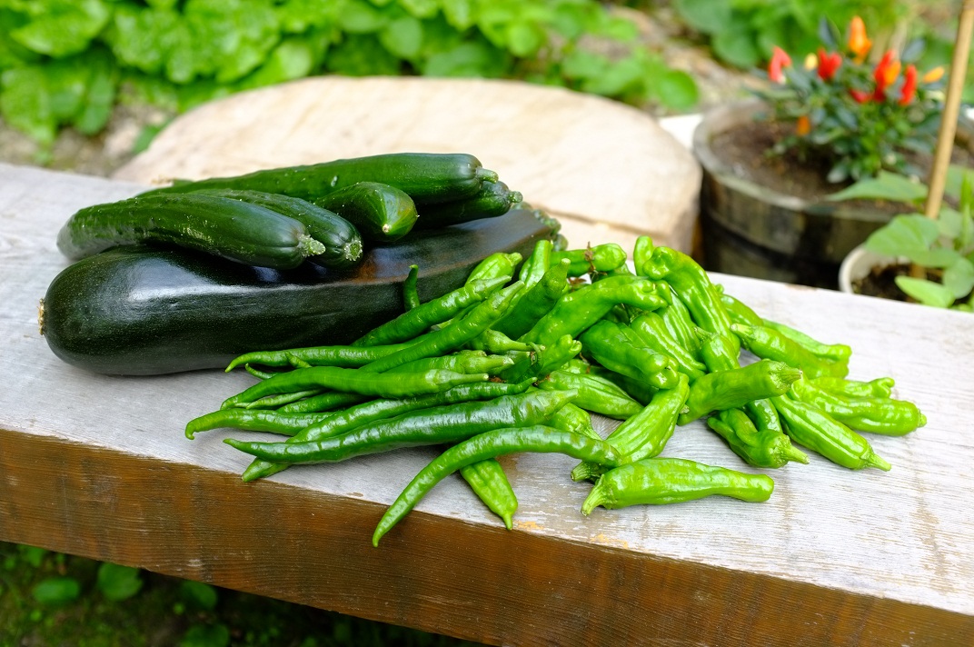 野菜の頂きモノと夏の朝食_f0034392_18265549.jpg