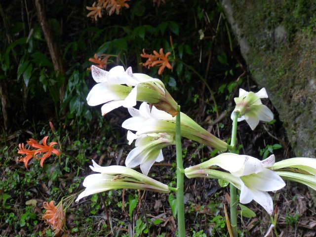 三方山1577m（九州百名山）_b0025101_15153039.jpg