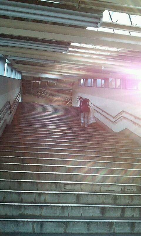 d0182502_19848.jpg