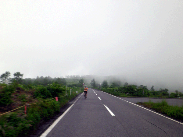 b0000209_22244816.gif