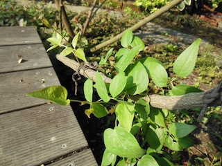 e0271409_213572.jpg