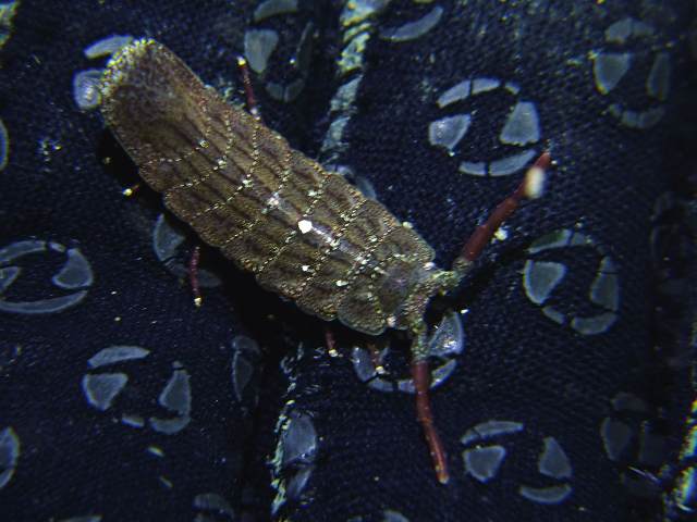 d0175710_0234591.jpg