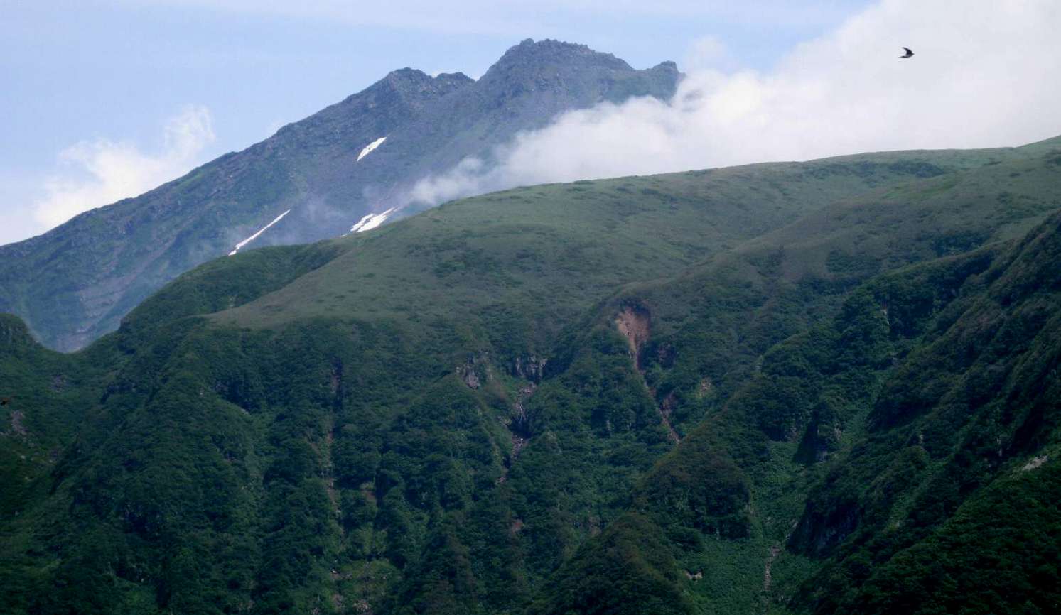 e0003910_17515310.jpg