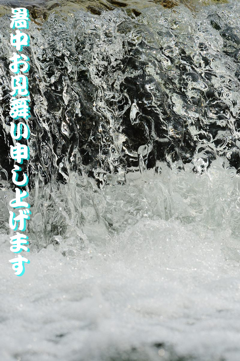 鴨川サギ撮り我慢大会! 其の一_f0032011_1962072.jpg
