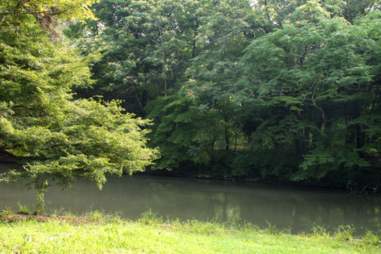 夏の植物園1_e0048413_2241031.jpg