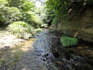 f0232920_14471298.gif