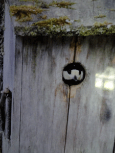 f0232920_14582410.gif